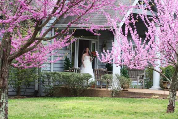 The Garden Inn Bed & Breakfast At Bee Rock Monterey 외부 사진